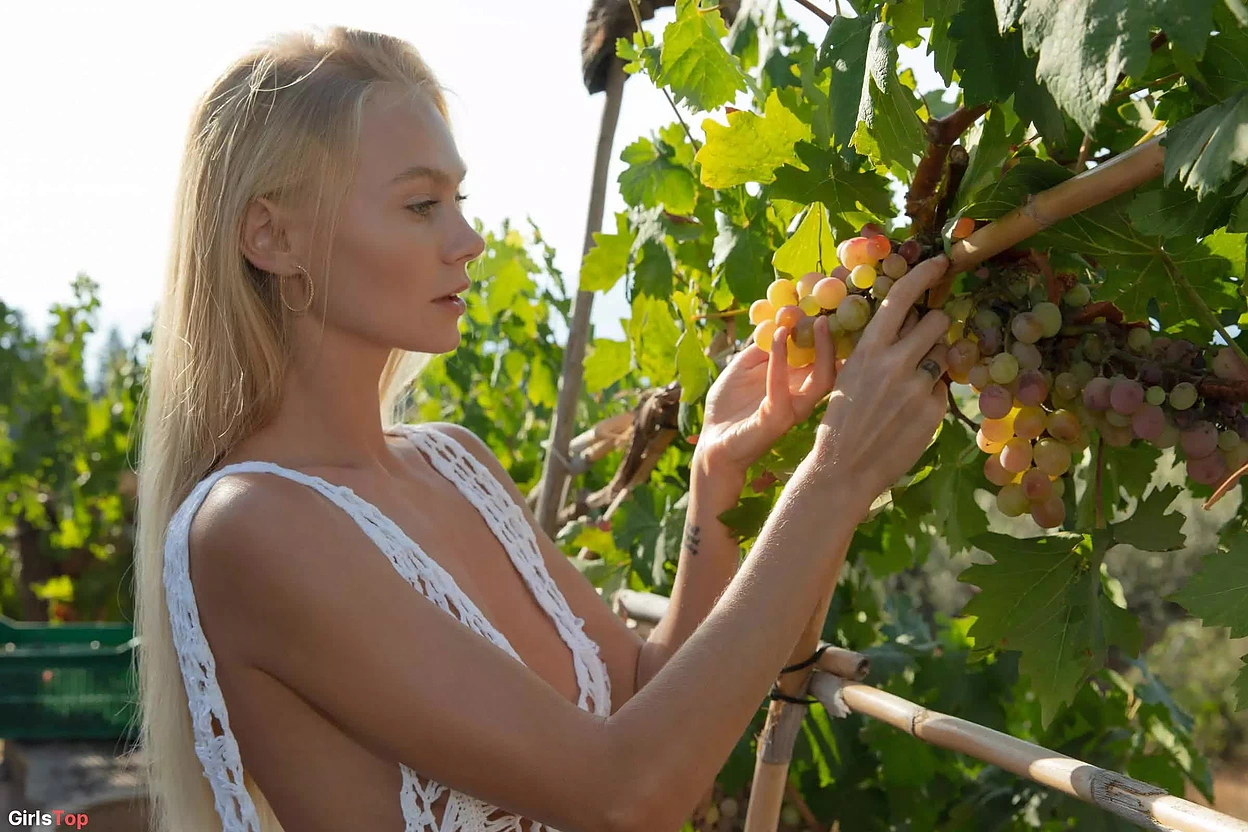 Гордый Винодел — Nancy A