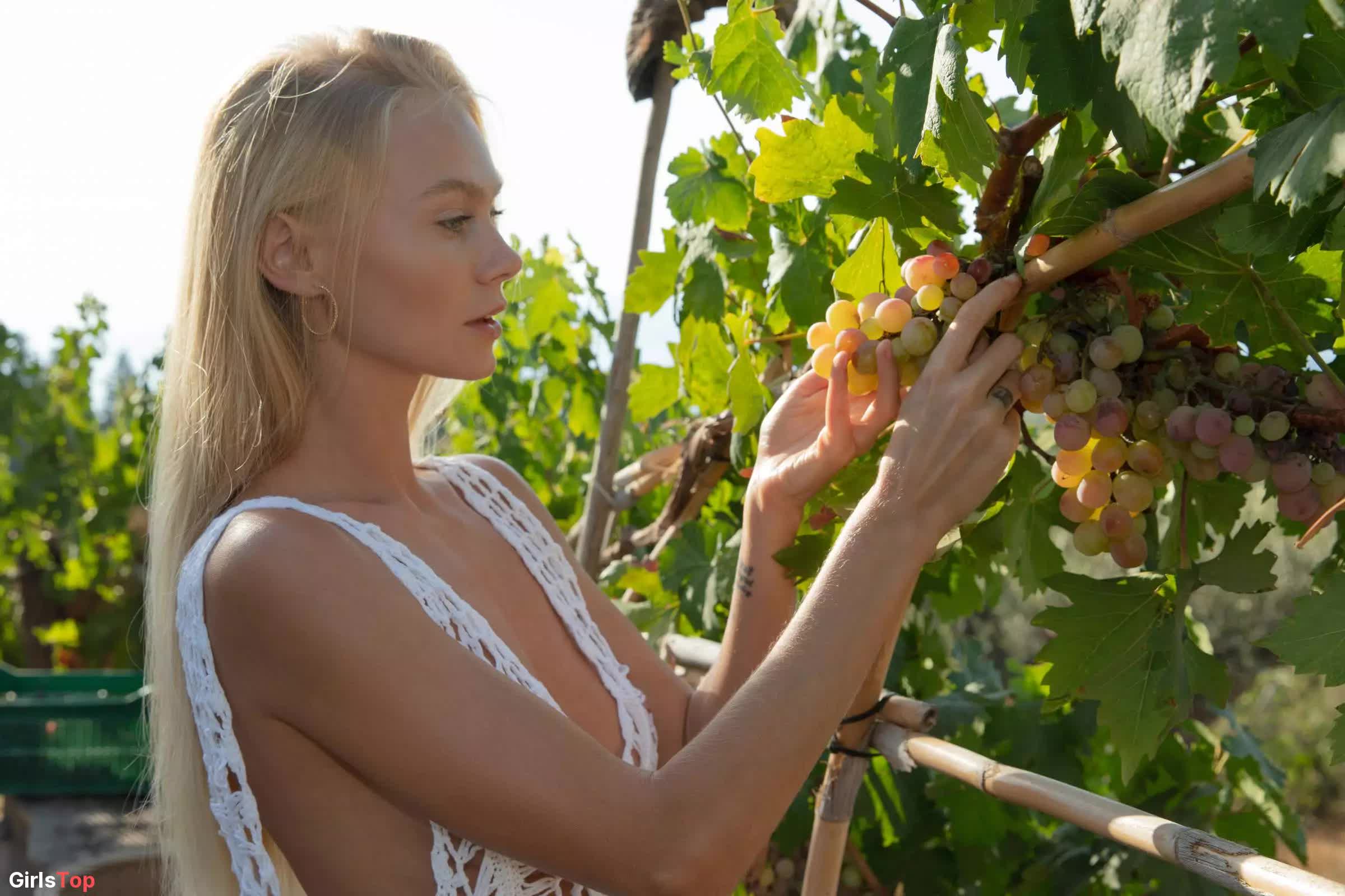 Гордый Винодел — Nancy A